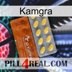 Kamgra 42